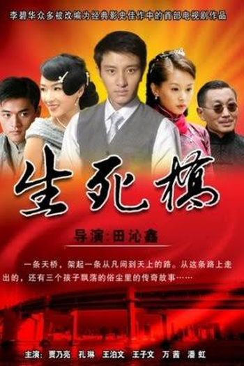 Poster de Série Ponte da vida e da morte (2010)