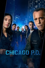 Chicago P.D.: Distrito 21 (14ª Temporada) (Chicago P.D. (Season 14))