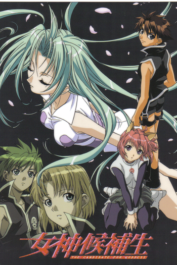 Poster de Série The Candidate for Goddess (2000)