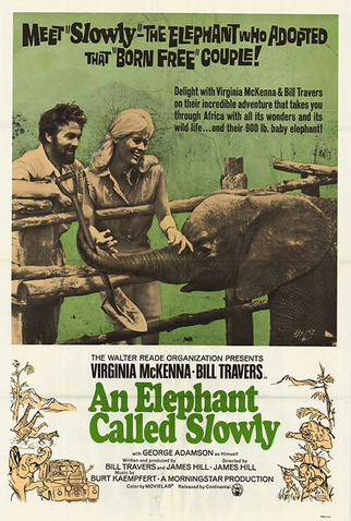 Poster 1 de Filme Um Amor De Elefante (1970)
