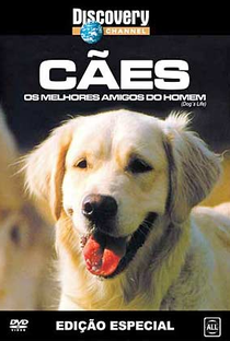 Cães, os melhores amigos do homem - Poster / Capa / Cartaz - Oficial 1