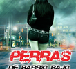 Perras de barrio