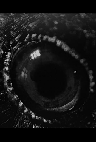 Poster 1 de Filme Ravens (2024)