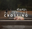 Pig at the Crossing