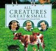 All Creatures Great and Small