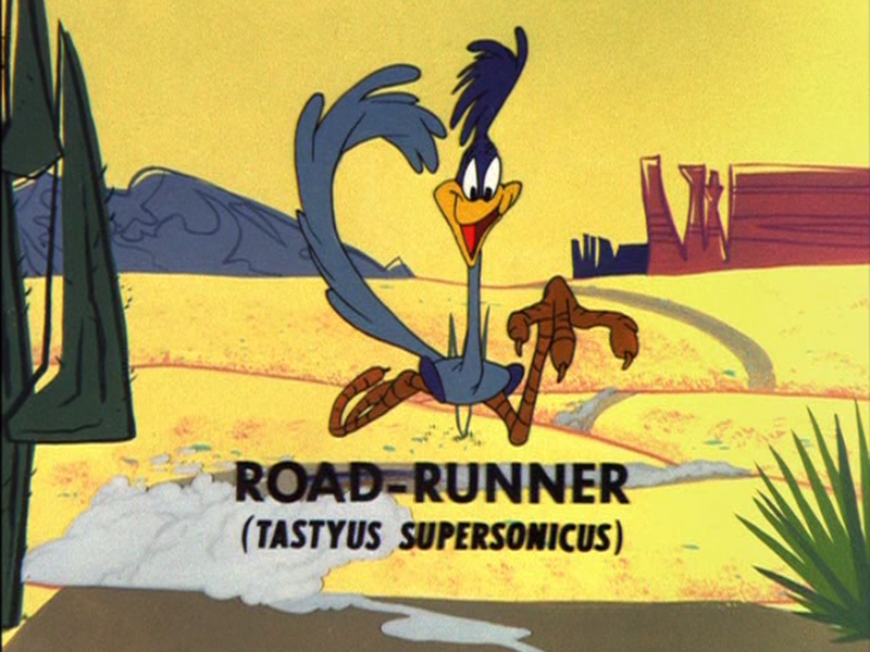 Foto 7 de Rolo Compressor