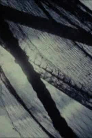 Poster de Curta Pesqueiro (1958)