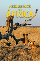 Assassinos da África (Assassinos da África)