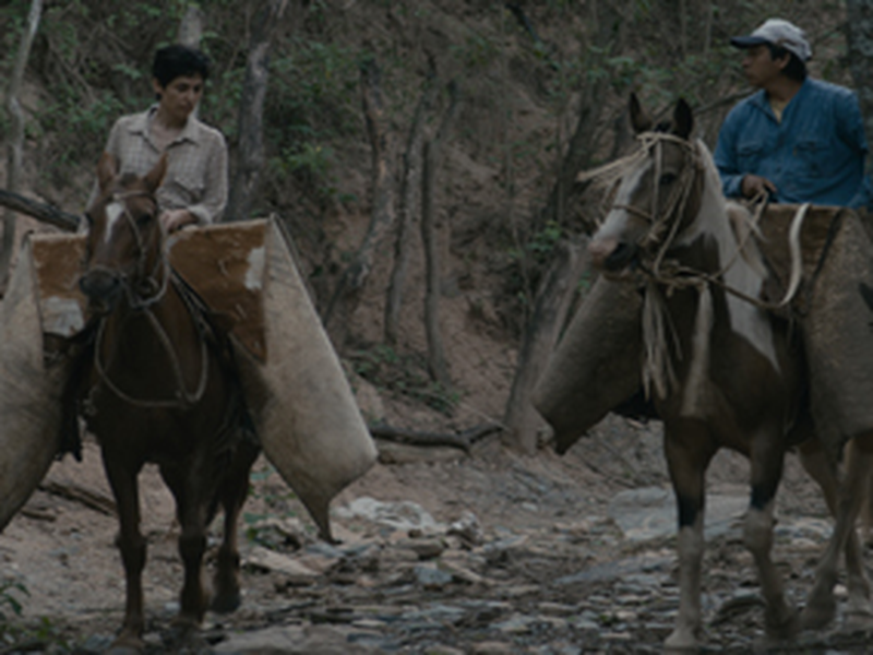 Foto 3 de Los Dueños