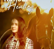 Horse Healing