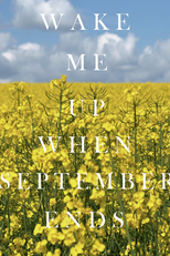 Green Day: Wake Me Up When September Ends (Green Day: Wake Me Up When September Ends)