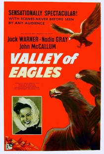 Valley of Eagles - Poster / Capa / Cartaz - Oficial 1