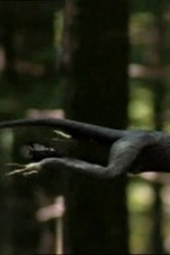Poster de Episódio DinoBirds (2006)