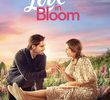 Love in Bloom