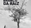 O Branco Da Raiz