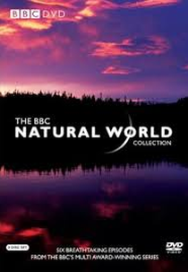BBC Natural World Season 31 (BBC Natural World Season 31)