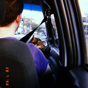 Foto de perfil de gustcavalcanti