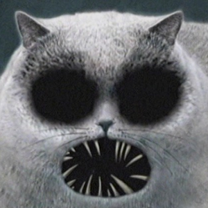 Foto de perfil de anne