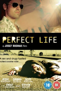 Perfect Life - Poster / Capa / Cartaz - Oficial 1