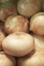 Worms (Worms)
