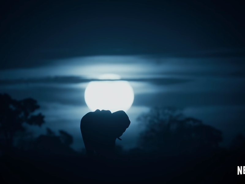 Foto 8 de A Terra à Noite