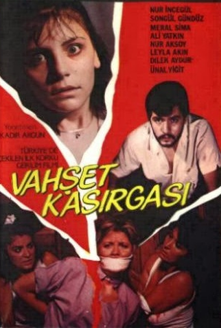 Poster 1 de Filme Brutal Storm (1985)