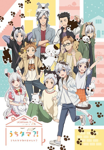 Uchitama?! Have you seen my Tama? (うちタマ⁈ ～うちのタマ知りませんか？～)