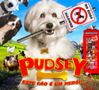 Pudsey: Este Cão é Um Herói!