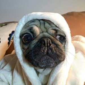 Foto de perfil de Driely