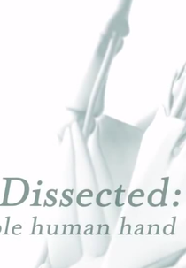 Dissecado: A Incrível Mão Humana (Dissected: The Incredible Human Hand)