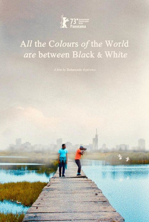 All the Colours of the World are Between Black and White - Poster / Capa / Cartaz - Oficial 1