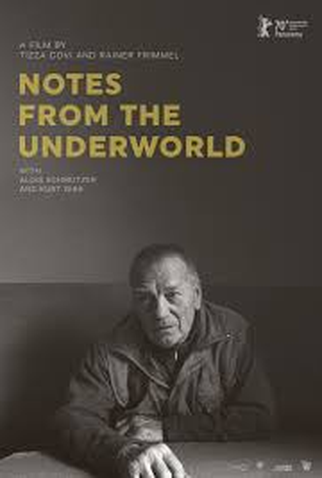 Poster 1 de Filme Notes from the Underworld (2020)