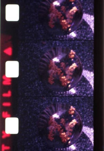 Éphémère (Éphémère)