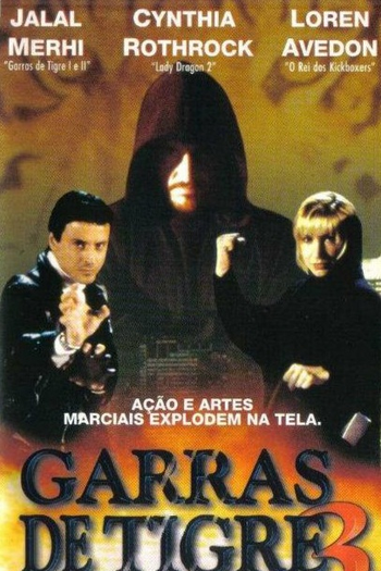 Poster de Filme Garras de Tigre 3 (2000)