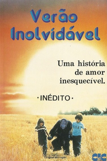 Poster de Filme Verão Inolvidável (1985)