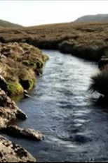 The Vale of Belvoir (The Vale of Belvoir)