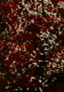 Prelude 11 (Prelude 11)