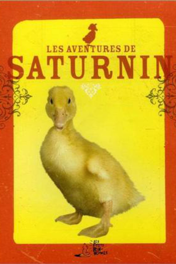  de Série As Aventuras do Pato Dínamo (1990)