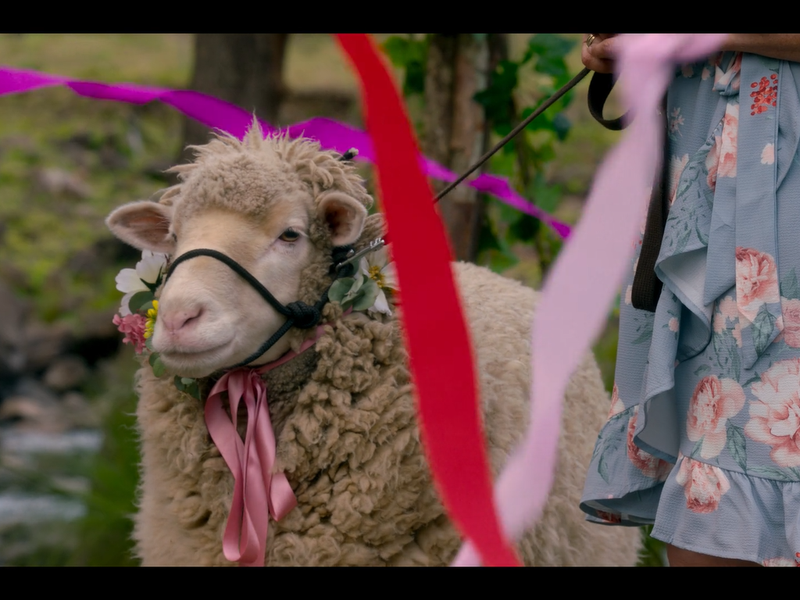 Foto 11 de Combinação Perfeita