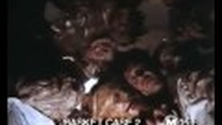 Trailer: Basket Case 2 (1990) - Trailer