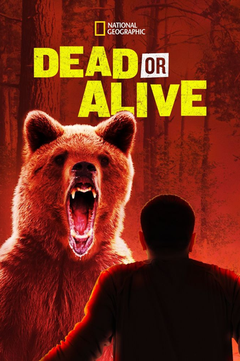 Poster de Franquia Dead or Alive (2013)