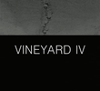 Vineyard IV