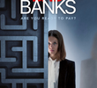 Bad Banks