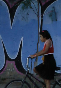 PiciVetaGem (Picivetagem)