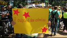 A culpa é das estrelas: a manifestação