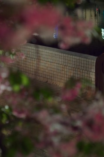 Poster de Episódio 第19集 (2026)