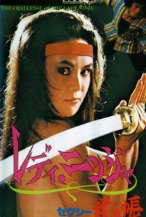 Challenge of the Lady Ninja - Poster / Capa / Cartaz - Oficial 4