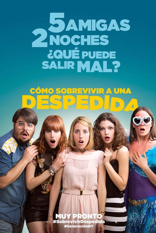 Poster 1 de Filme Como Sobreviver a uma Despedida (2015)