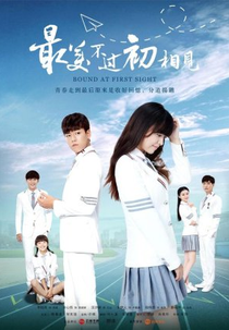 Bound At First Sight (最美不过初相见)