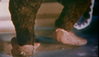 8mm Film, DEFA 1960, Alle helfen Teddy